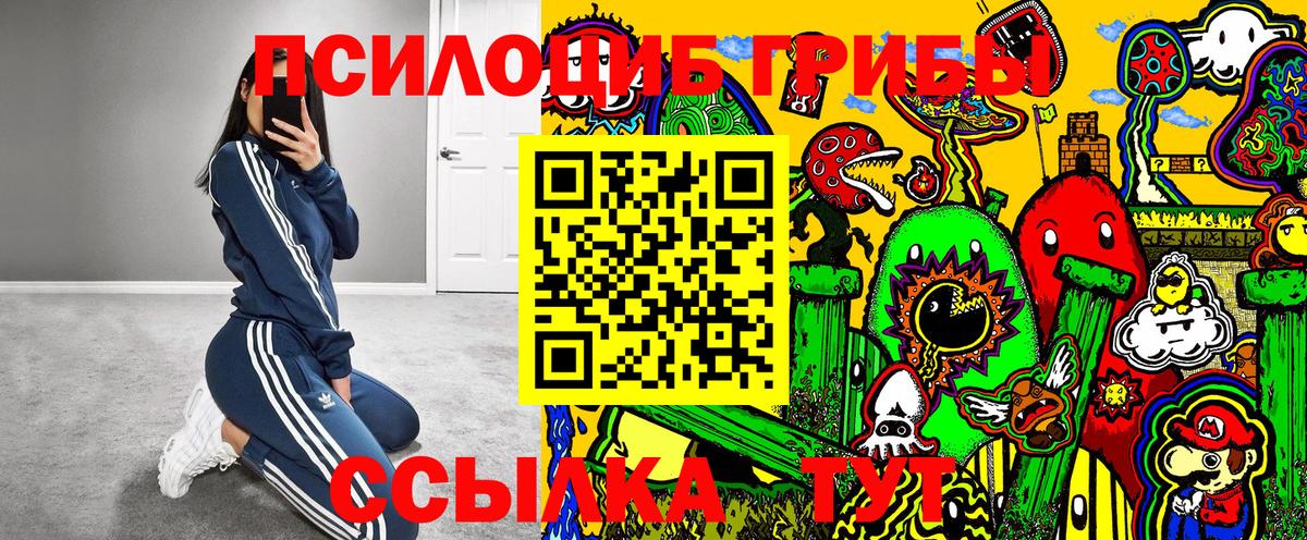 Грозный  Галлюциногенные грибы Psilocybe  Вход с VPN 