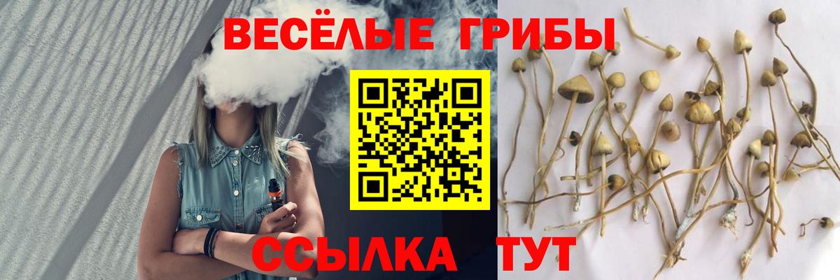 Псилоцибиновые грибы прущие грибы Грозный