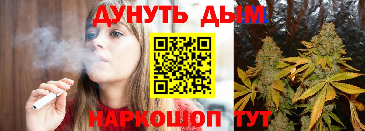 Грозный  Бошки Шишки семена  Вход с VPN  Бошки Шишки ГИДРОПОН  Бошки Шишки VHQ 